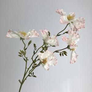 ASCA アスカ ワイルドフラワーX 5 A-34539-011 P 入数 12