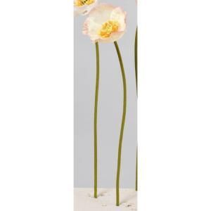 ASCA アスカ ポピー A-34538-011 P 入数 24