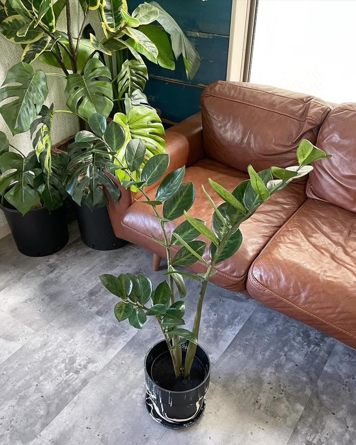 ザミフォーリア フェイクグリーン 人工植物 造花 観葉植物 鉢植え インテイアグリーン いなざうるす屋