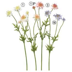 ASCA アスカ スカビオサX 3 A-34492-016 入数 24