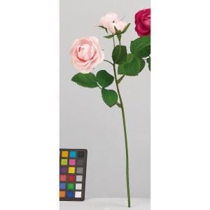 ASCA アスカ ローズX 3 A-34489-003 S 入数 24