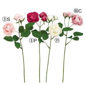 ASCA アスカ ローズX 3 A-34489-055 C 入数 24