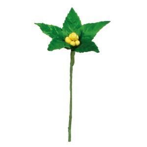 ASCA アスカ センリョウピック 1袋6本入 A-74635-010 入数 24