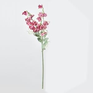 ASCA アスカ スイトピー×16 A-34470-055 入数 12