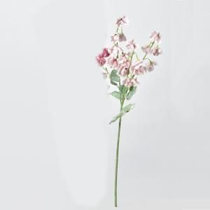 ASCA アスカ スイトピー 16 A 34470 055 B 入数 12