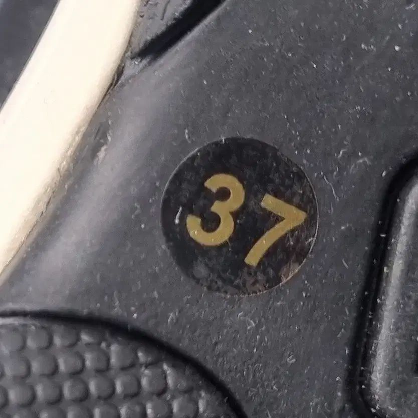 フォルナリーナ 워너비