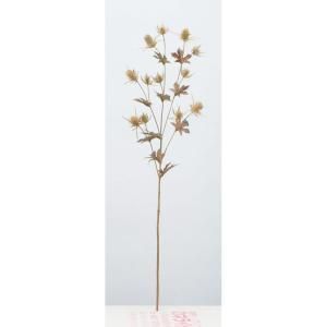 ASCA アスカ アザミX 12 A-34468-028 B 入数