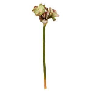 ASCA アスカ アマリリスX 3 A-34465-055 G 入数 6