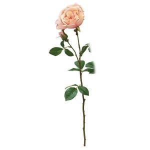 ASCA アスカ ローズX 1 つぼみX A 34459 004 入数 12