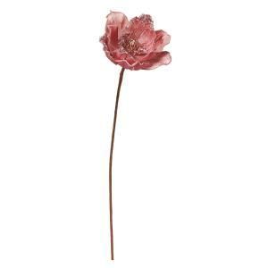 ASCA アスカ マグノリア AX 60135-055 入数 12