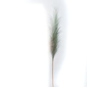 ASCA アスカ パンパス A-44042-037 B 入数 12