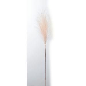 ASCA アスカ パンパス A-44040-003 S 入数 24