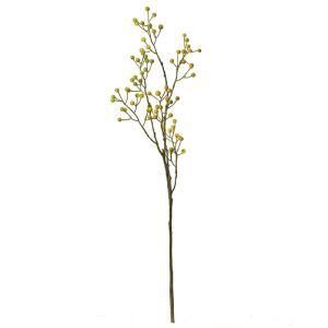 ASCA アスカ ベリースプレー A 47971 010 G 入数 12