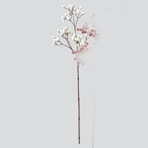 ASCA アスカ ベリースプレー A-47969-001 入数 24