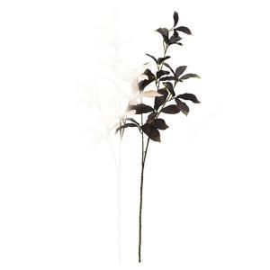 ASCA アスカ リーフスプレー A-44022-035 E 入数 24