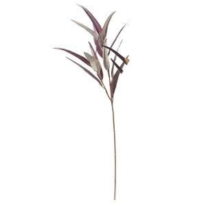 ASCA アスカ ユーカリ A-74613-007 入数 12