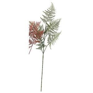 ASCA アスカ アスパラガスファーン A-74610-051 A 入数 12