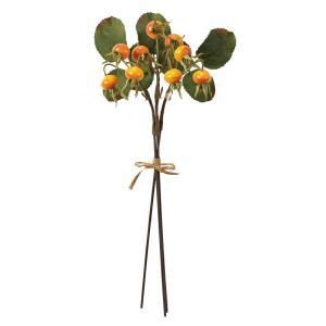 ASCA アスカ ローズヒップバンチ 1束3本 A-47960-030 入数 12