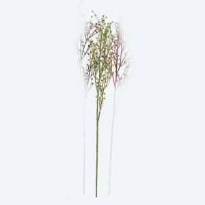 ASCA アスカ フラックスシード A-47957-051 A 入数 12