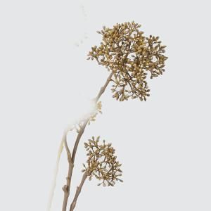 ASCA アスカ ビバーナム ゴールドブラッシュ A-47956-028 入数 12