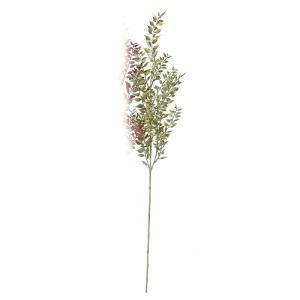 ASCA アスカ ラスカス ゴールドブラッシュ A-44011-051 A 入数 12