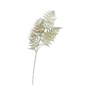 ASCA アスカ アスパラガスファーン ゴールドブラッシュ A-44010-051 A 入数 12