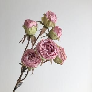 ASCA アスカ ドライタッチローズ 6 A 34406 055 入数 12