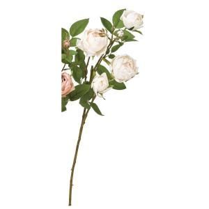 ASCA アスカ ローズ×4 つぼみ×3 A-34401-011 入数 12