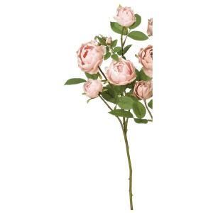 ASCA アスカ ローズ×4 つぼみ×3 A-34401-003 A 入数 12