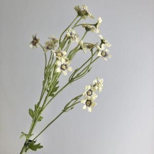 ASCA アスカ デイジーX 21 A-34390-010 V 入数 24