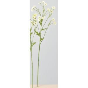 ASCA アスカ デイジーX 21 A-34390-020 入数 24