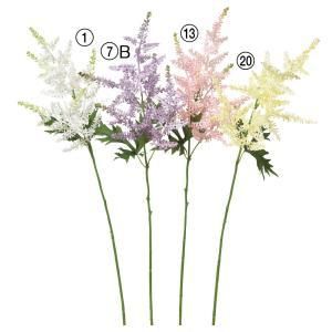 ASCA アスカ アスチルベ A-34365-001 入数 12