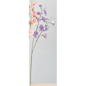 ASCA アスカ スイトピーX 14 A-34348-017 入数 24