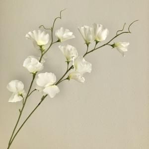 ASCA アスカ スイトピーX 14 A-34348-001 入数 24