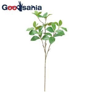 ASCA アスカ リーフスプレー A 43954 051 入数 12