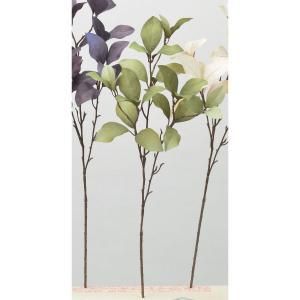 ASCA アスカ リーフスプレー A-43951-051 A 入数 12