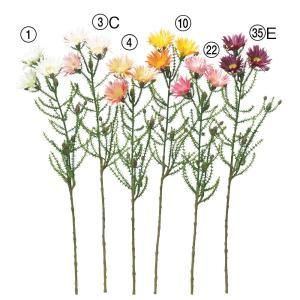 ASCA アスカ フェノコマX 3 A-34337-001 入数 12