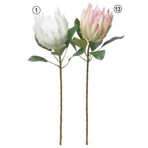 ASCA アスカ プロテア A-34332-001 入数 12