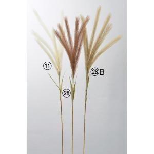 ASCA アスカ パンパス A-43932-011 入数 24