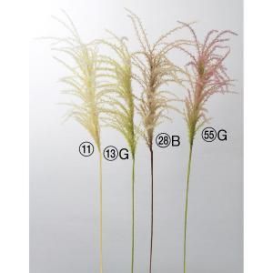 ASCA アスカ パンパス A-43931-011 入数 12