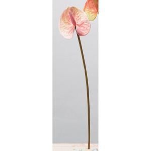 ASCA アスカ アンスリウム A-34321-003 W 入数 12