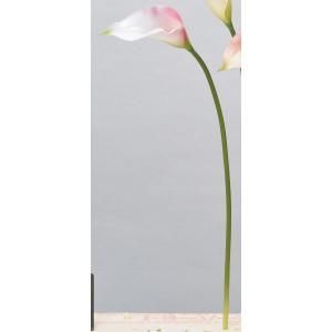 ASCA アスカ カラーリリィ A-34317-001 P 入数 24