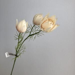 ASCA アスカ セルリアX 3 A-34313-008 入数 12