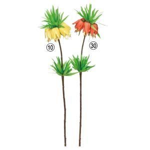 ASCA アスカ フリチラリア A-34291-010 入数 24