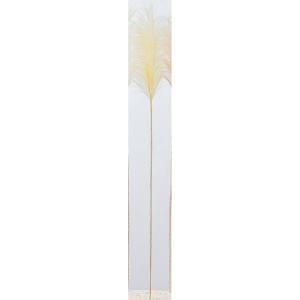 ASCA アスカ パンパス A-43836-011 入数 12