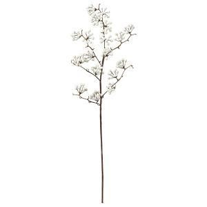 ASCA アスカ ベリースプレー A-47942-001 入数 12