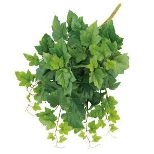 ASCA アスカ グレープリーフブッシュ A-43820-051 A 入数 12