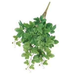 ASCA アスカ グレープアイビーブッシュ A-43817-051 A 入数 12