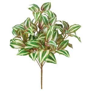 ASCA アスカ ワンダリングジューブッシュ A-43815-051 P 入数 12