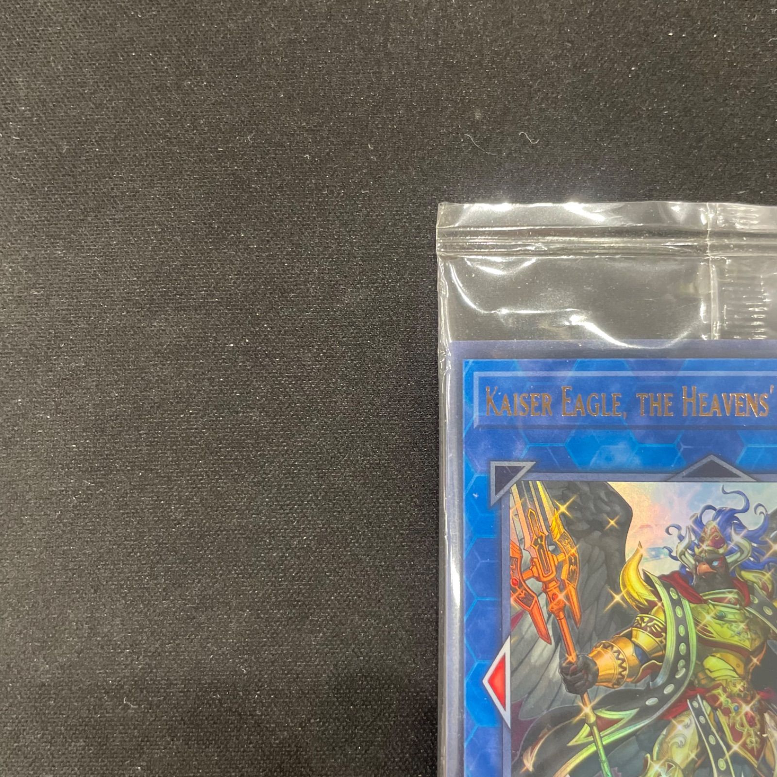 遊戯王 未開封 天元の荒鷲王 Kaiser Eagle, the Heavens' Mandate